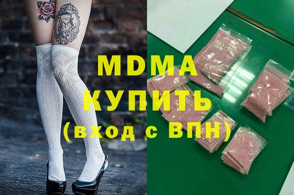 хмурый Аркадак
