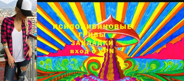 хмурый Аркадак