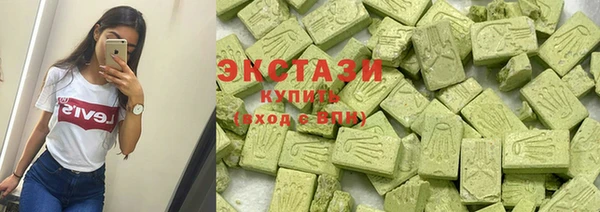 хмурый Аркадак