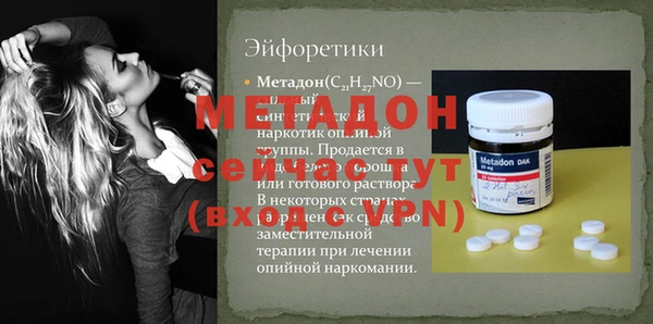 хмурый Аркадак