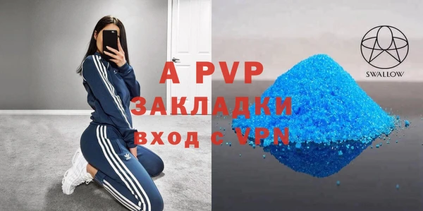 хмурый Аркадак