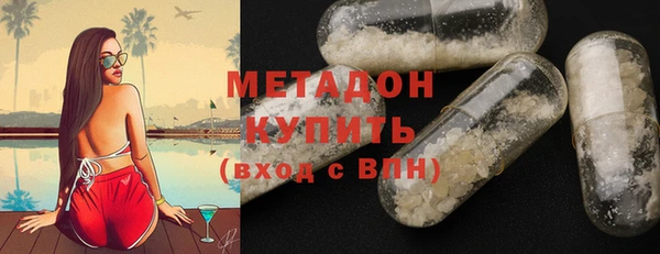 хмурый Аркадак