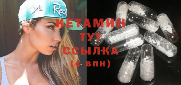 хмурый Аркадак