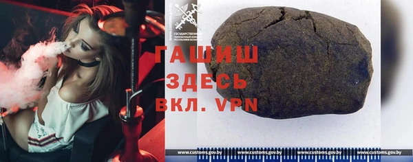 хмурый Аркадак