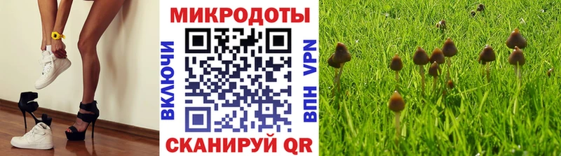 Галлюциногенные грибы мицелий Нерехта